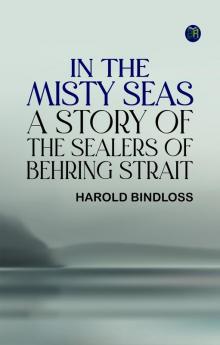 In the Misty Seas: A Story of the Sealers of Behring Strait
