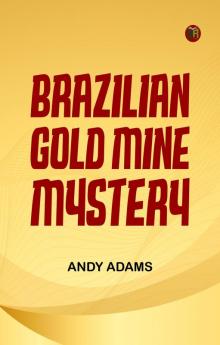 Brazilian Gold Mine Mystery