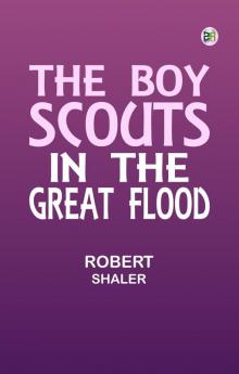The Boy Scouts in the Great Flood
