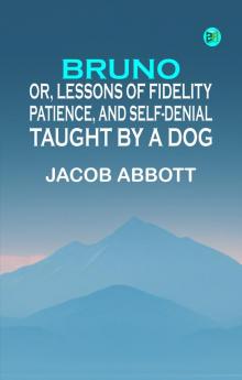 Bruno; or lessons of fidelity patience and self-denial taught by a dog