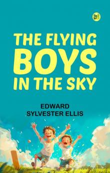 The Flying Boys in the Sky
