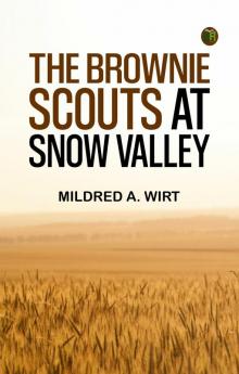 The Brownie Scouts at Snow Valley
