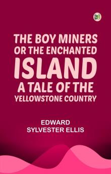 The Boy Miners; Or The Enchanted Island A Tale of the Yellowstone Country