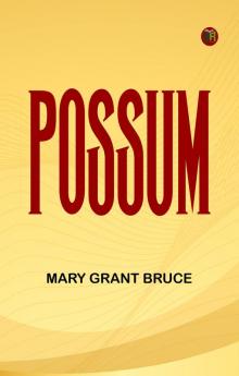 Possum