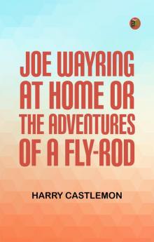 Joe Wayring at Home; or The Adventures of a Fly-Rod