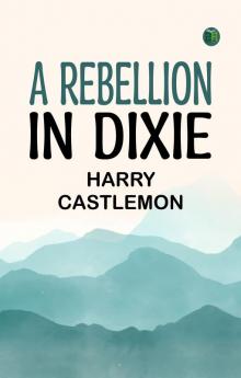 A Rebellion in Dixie