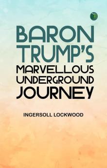 Baron Trump's Marvellous Underground Journey