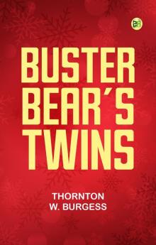 Buster Bear's Twins
