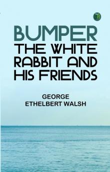 Bumper the White Rabbit and His Friends