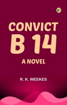 Convict B 14: A Novel