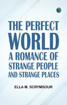The Perfect World: A romance of strange people and strange places