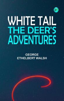 White Tail the Deer's Adventures