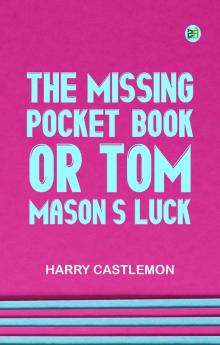The Missing Pocket-Book; Or Tom Mason's Luck