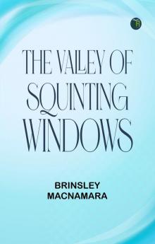 The Valley of Squinting Windows