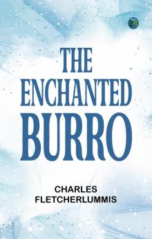 The Enchanted Burro