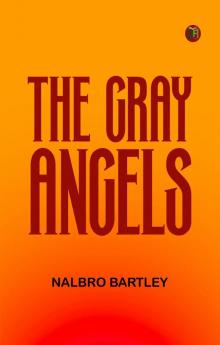 The Gray Angels