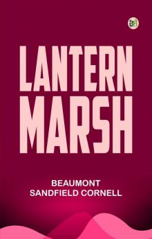 Lantern Marsh