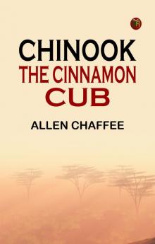 Chinook the Cinnamon Cub