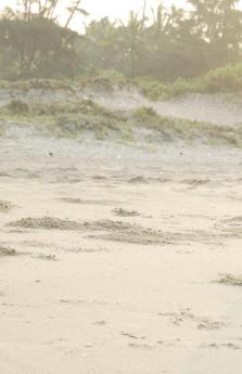 Titchy Stories for you honey pumpkin