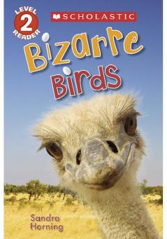 BIZARRE BIRDS - SCHOLASTIC READER LEVEL 2