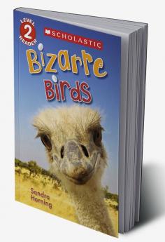 BIZARRE BIRDS - SCHOLASTIC READER LEVEL 2