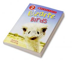 BIZARRE BIRDS - SCHOLASTIC READER LEVEL 2