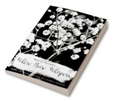 Where noise whispers