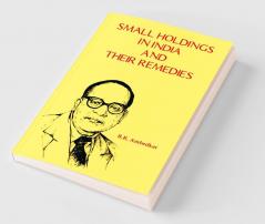 Small Holdings in India and their Remedies