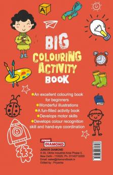 Big Colouring Activity Book