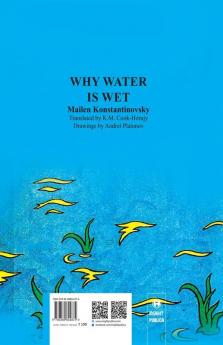 Why Water is Wet