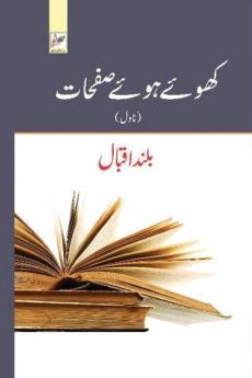 کھوئے ہوئے صفحات (Urdu Edition)