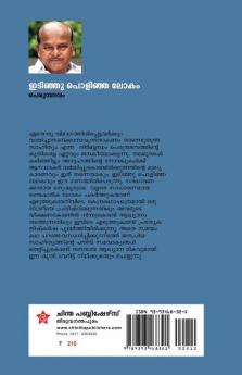 Idinju Polinja Lokam