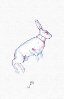 Create Journal Plus Art Book (Hardcover Edition)