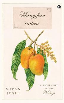 Mangifera indica