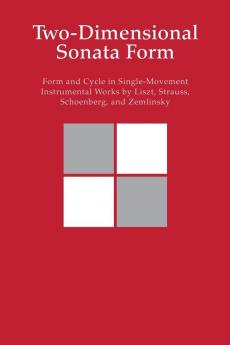 Two-Dimensional Sonata Form