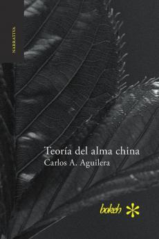 Teoría del alma china