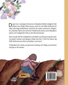 Trollpojkens trädgård: Swedish Edition of The Gnome's Garden