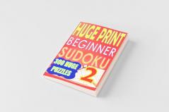 Huge Print Beginner Sudoku 2