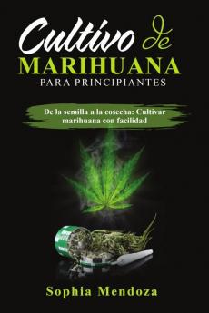 Cultivo de  Marihuana  Para Principiantes