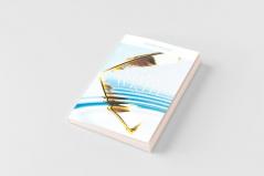 If You Want to Write