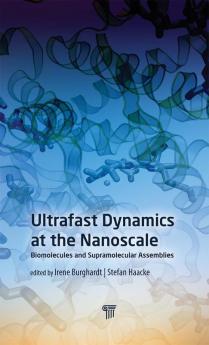 Ultrafast Dynamics at the Nanoscale