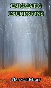 Enigmatic Excursions