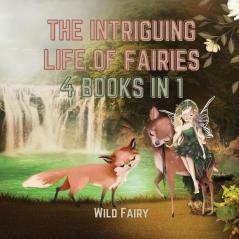 The Intriguing Life of Fairies: 4 Books in 1