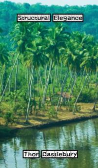 Structural Elegance