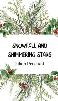 Snowfall and Shimmering Stars