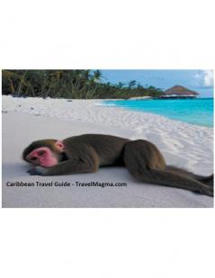 Caribbean Travel Guide - Explore the Caribbean Islands