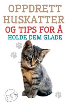 Oppdrett Huskatter og Tips for �� Holde dem Glade