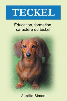 Teckel - Éducation Formation Caractère