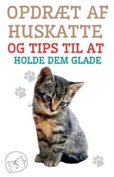 Opdr��t af Huskatte og Tips til at Holde dem Glade