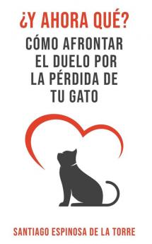 ��Y ahora qu��?